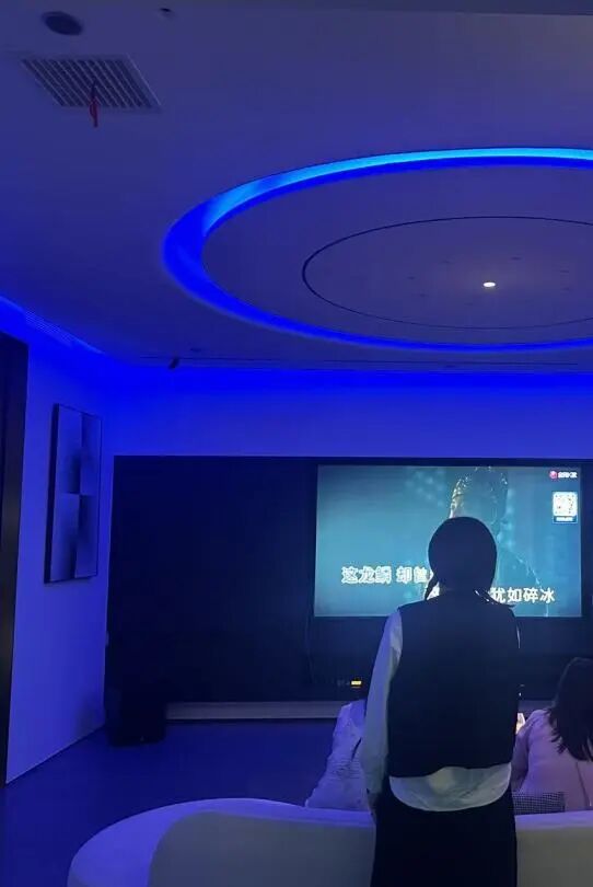 案例分享|让声音隐入空间——Peavey百威TIC04客厅5.1影K系统落地郴州