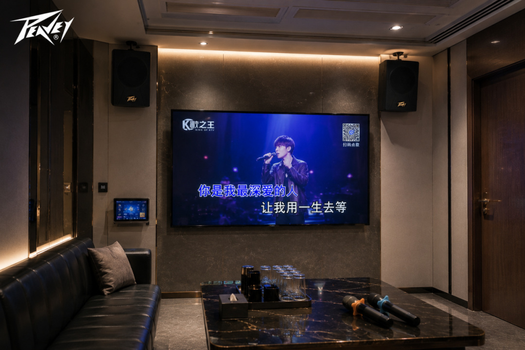 为什么有些KTV,一开声就更有“现场感”?| Peavey百威MD系列
